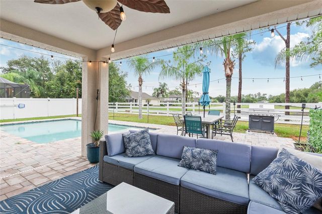 20744 ORCHARDTOWN DRIVE, Land O Lakes, FL 34638