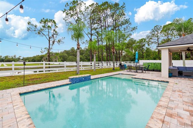 20744 ORCHARDTOWN DRIVE, Land O Lakes, FL 34638