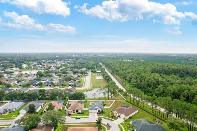20744 ORCHARDTOWN DRIVE, Land O Lakes, FL 34638