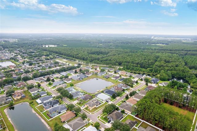 20744 ORCHARDTOWN DRIVE, Land O Lakes, FL 34638