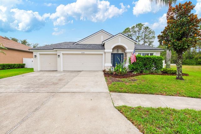 20744 ORCHARDTOWN DRIVE, Land O Lakes, FL 34638