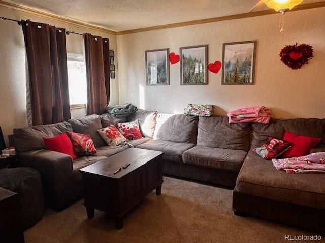 1402 Clemson Drive, Colorado Springs, CO 80909