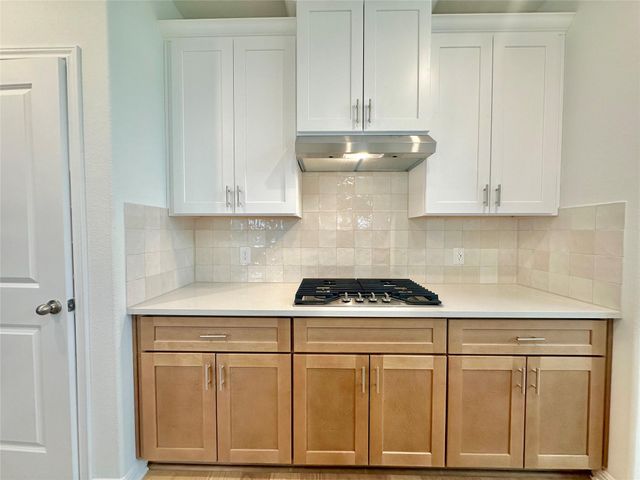 172 White Horses DR, Kyle, TX 78640