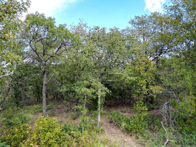 TBD Lot 7 Muy Grande Road, Nocona, TX 76255