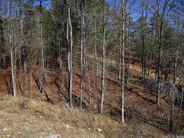 211 Rocky Road, Hot Springs, AR 71901