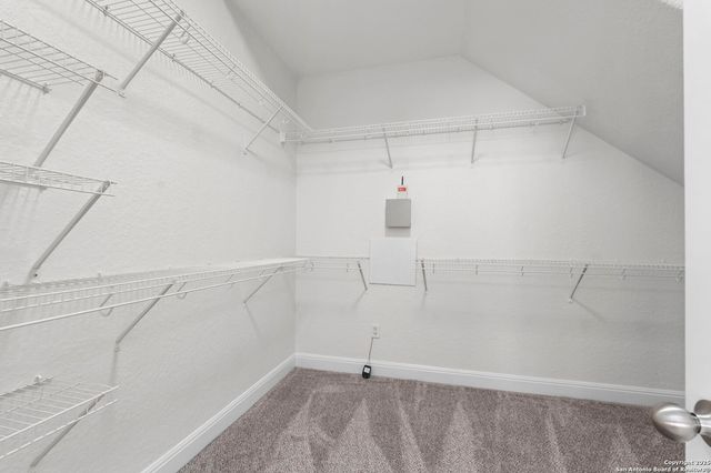 8015 Cimarron Ranch, San Antonio, TX 78254