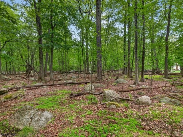 157 Grove St, Ramsey Boro, NJ 07446
