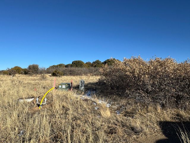 2 PUNCH Court, Tijeras, NM 87059