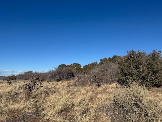 2 PUNCH Court, Tijeras, NM 87059