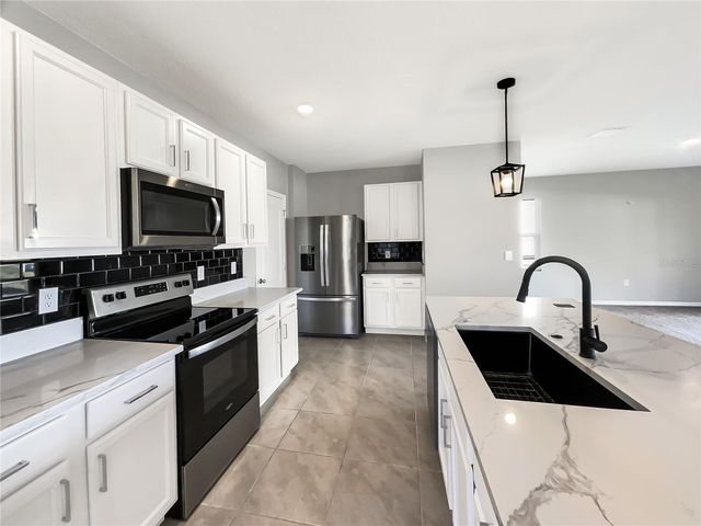 3013 TANSY STREET, Tavares, FL 32778