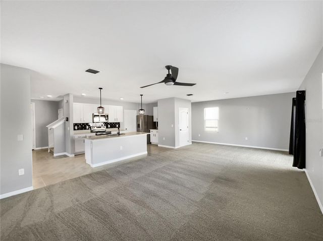 3013 TANSY STREET, Tavares, FL 32778