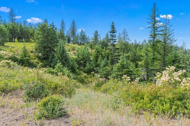 NKA E Belmont Rd, Mica, WA 99023