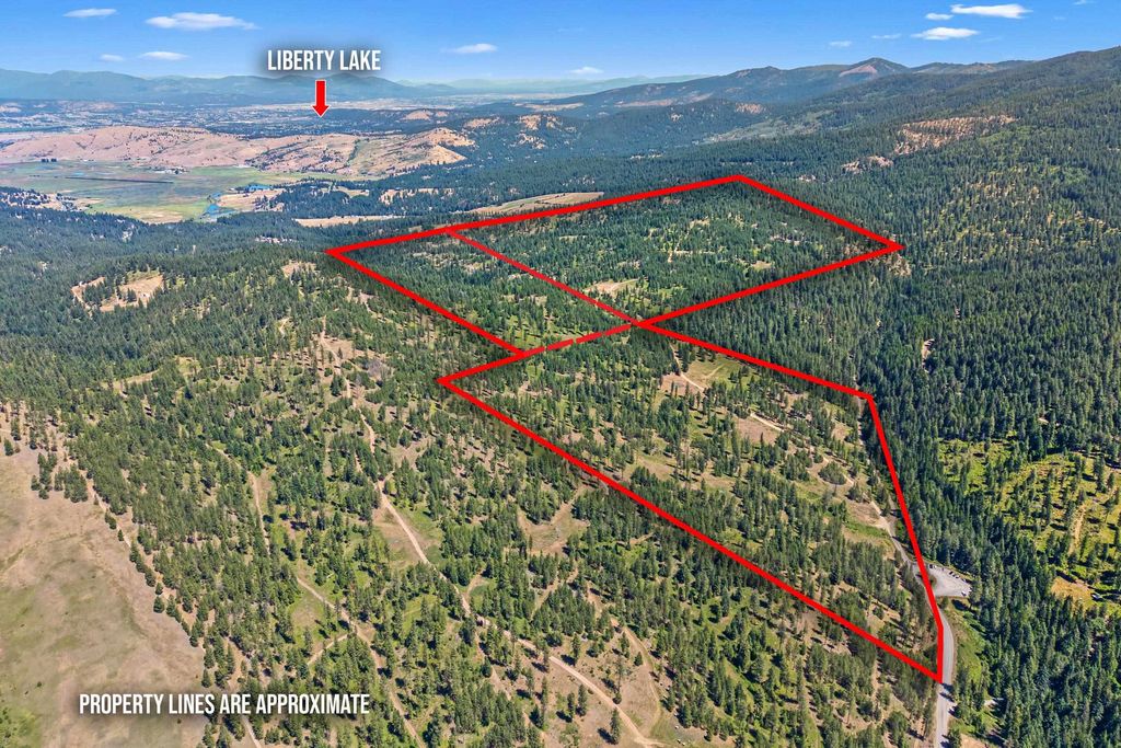 NKA E Belmont Rd, Mica, WA 99023