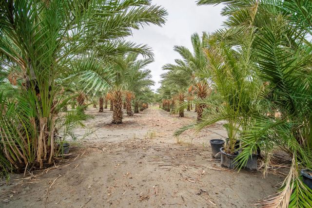 84925 61st Avenue, Thermal, CA 92274