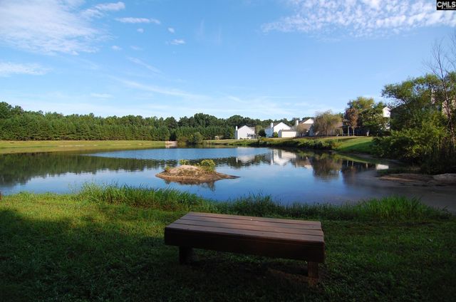 416 Buckthorne Road, Lexington, SC 29072