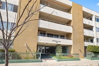 1187 E 3rd 202, Long Beach, CA 90802