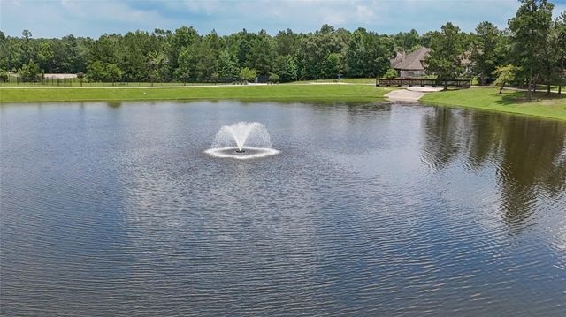 163 Meadow Valley Drive, Conroe, TX 77384