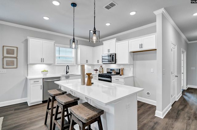 121 Monroe Preserve Lane, Chapin, SC 29036