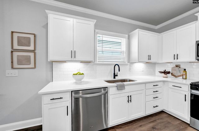 121 Monroe Preserve Lane, Chapin, SC 29036