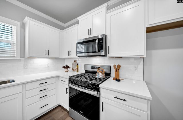 121 Monroe Preserve Lane, Chapin, SC 29036