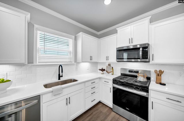 121 Monroe Preserve Lane, Chapin, SC 29036