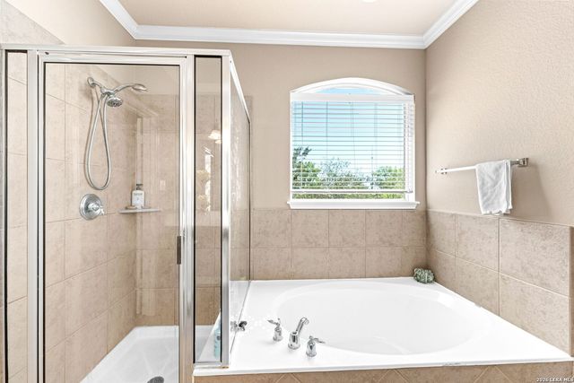 26042 Laurel, San Antonio, TX 78260