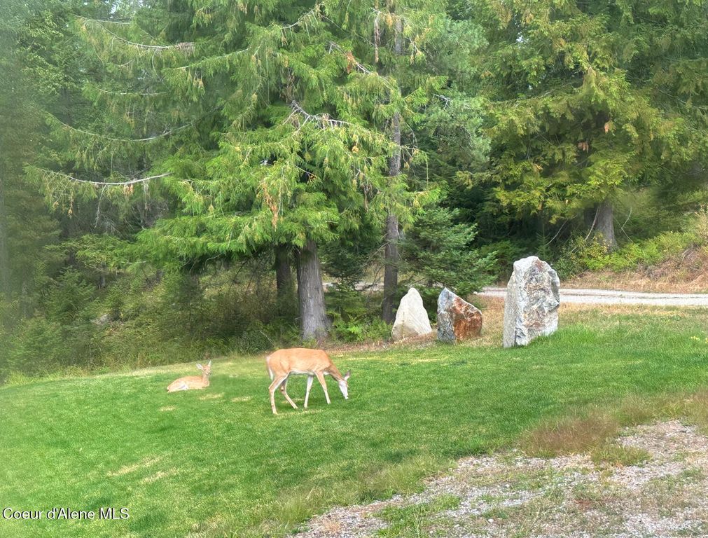 422 Lightning Peak Rd, Sandpoint, ID 83864 photo 80