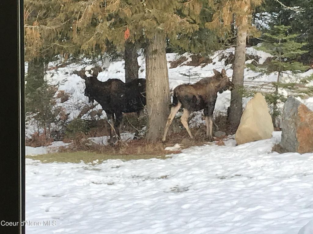 422 Lightning Peak Rd, Sandpoint, ID 83864 photo 82