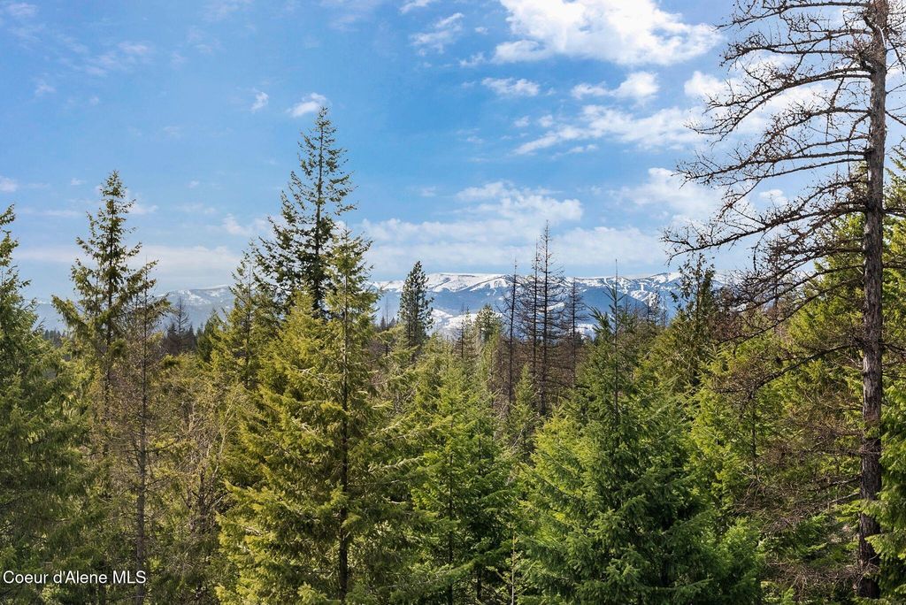 422 Lightning Peak Rd, Sandpoint, ID 83864 photo 85