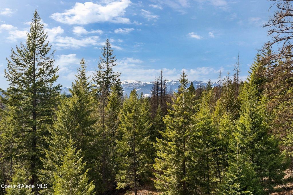 422 Lightning Peak Rd, Sandpoint, ID 83864 photo 87