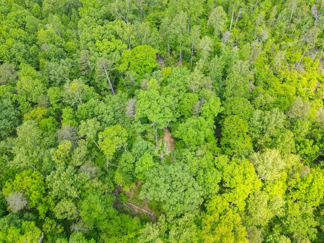 0 Motlow Creek Road, Campobello, SC 29322