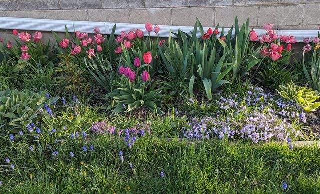 227 Eldred Street, Battle Creek, MI 49015