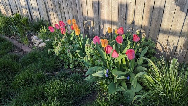 227 Eldred Street, Battle Creek, MI 49015