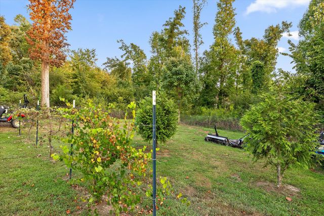 8168 Pinecrest Drive, Chattanooga, TN 37421