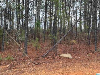 350 WILLOW LANE, Vincent, AL 35178