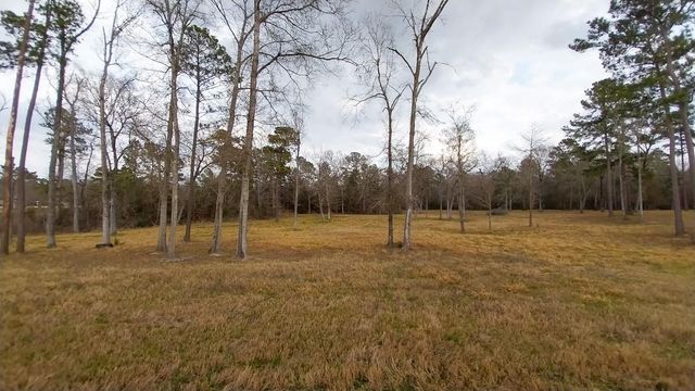 2 Noah Court, Huntsville, TX 77320