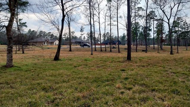 2 Noah Court, Huntsville, TX 77320