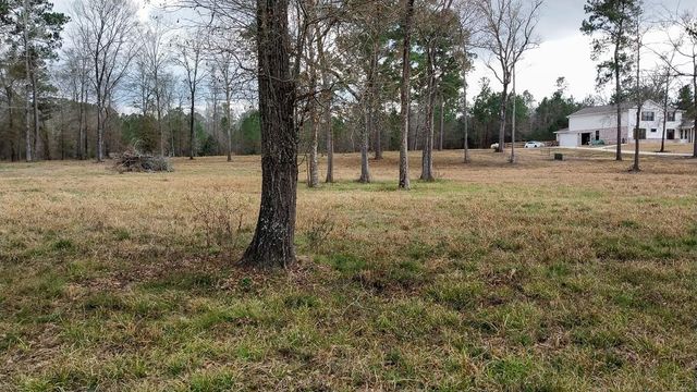 2 Noah Court, Huntsville, TX 77320