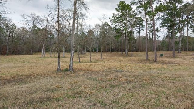 2 Noah Court, Huntsville, TX 77320