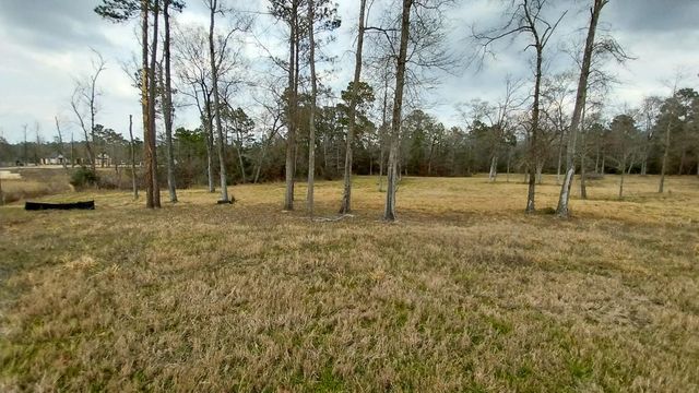 2 Noah Court, Huntsville, TX 77320