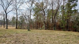 2 Noah Court, Huntsville, TX 77320