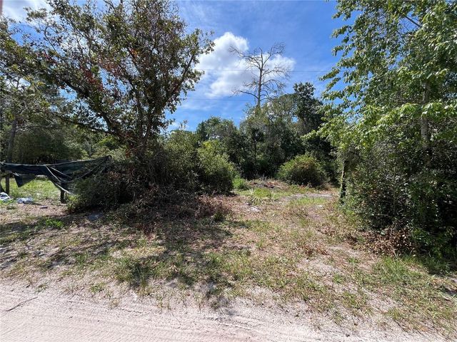 42334 W LAKE ROAD, Deland, FL 32720