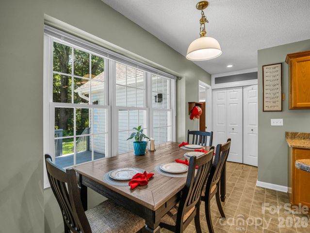 9 Kingfisher Lane, Mills River, NC 28759
