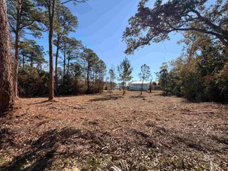 5306 Pine Road, Orange Beach, AL 36561