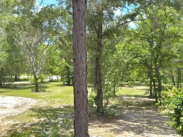 5331 SE 122 AVENUE, Morriston, FL 32668