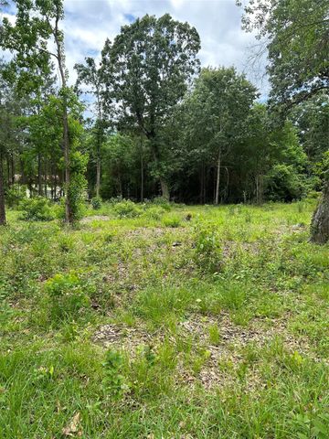 12 Timberglen, Livingston, TX 77351