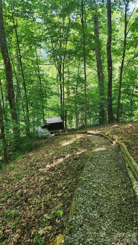1458 Riverview Road 1, Burnsville, NC 28714