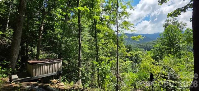 1458 Riverview Road 1, Burnsville, NC 28714