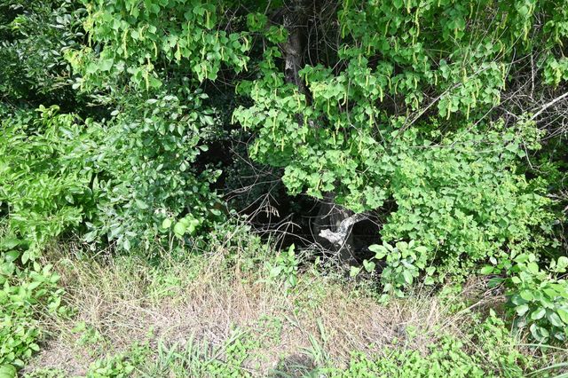 72 N Kessler Ave, Schulenburg, TX 78956