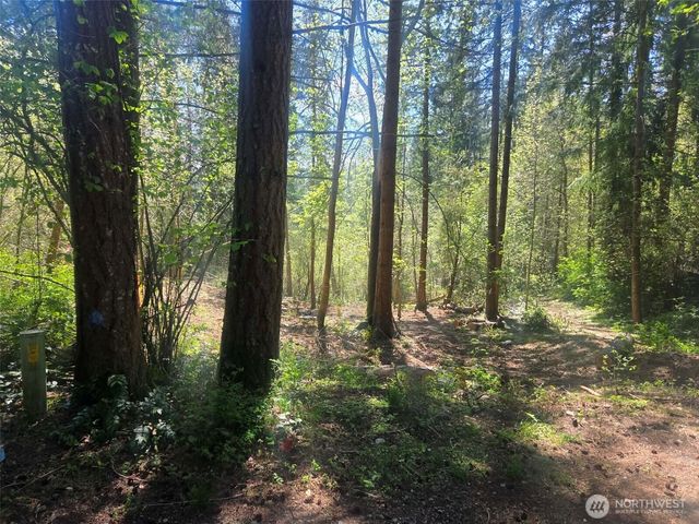 22439 Vale Court SE, Yelm, WA 98597